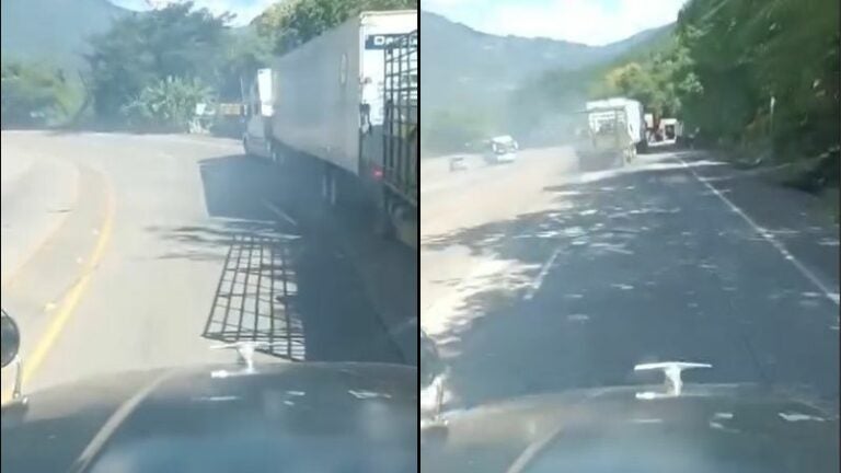 Conductor rastra detiene camión ganado