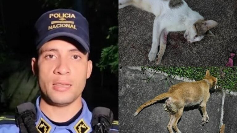 Policía envenenamiento animales Villanueva