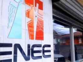 ENEE fracasa colocación bonos