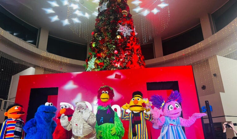 Diunsa celebra la Navidad con espectacular encendido del árbol