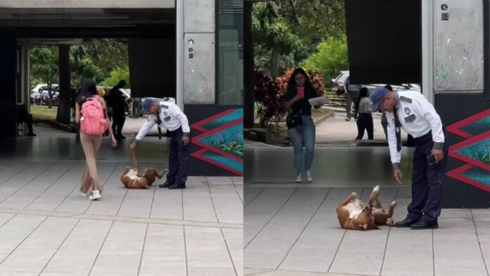 Captan a guardia de seguridad acariciando y jugando con perro en la UNAH