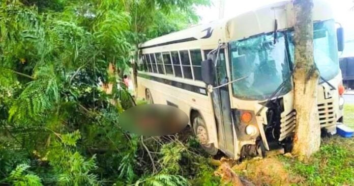 Hombre muere atropellado por bus en El Progreso