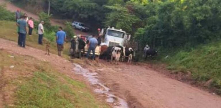 Incomunicados pobladores de Jalapa por socavones formados por lluvias