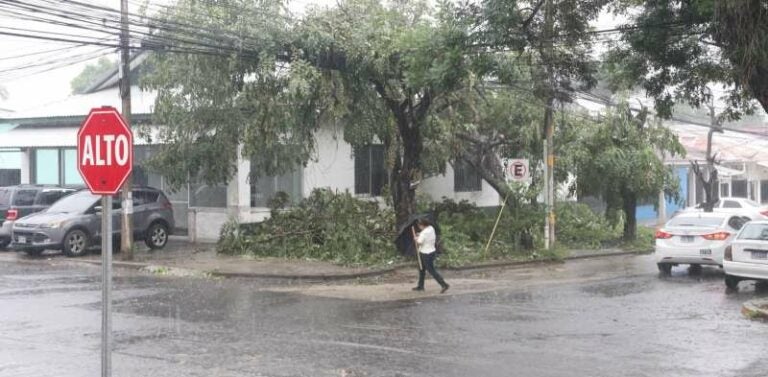 Intensas lluvias y fuertes vientos azotan a San Pedro Sula