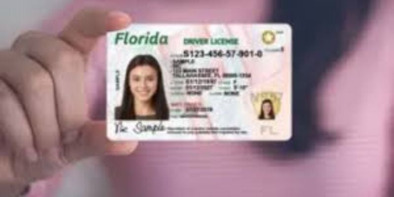 Tipos de permiso para conducir para migrantes en Florida