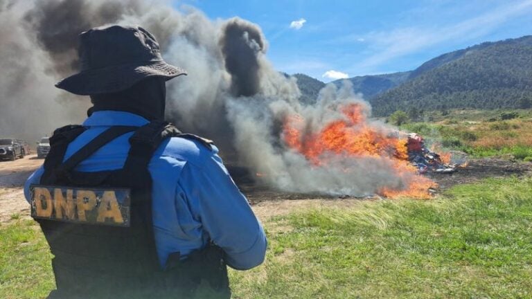 Incineran cocaína incautada operaciones