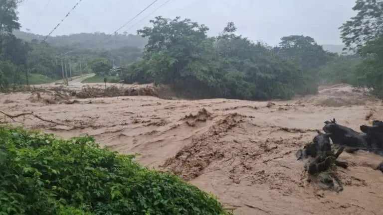 Sara desempleo en Choluteca