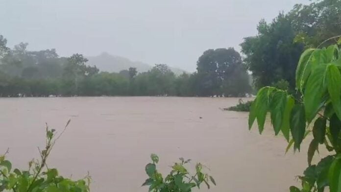 Tormenta Sara causa caos en Olancho con crecidas y caídas de árboles