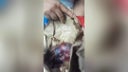 whatsapp-image-2024-11-09-at-8-37-30-am