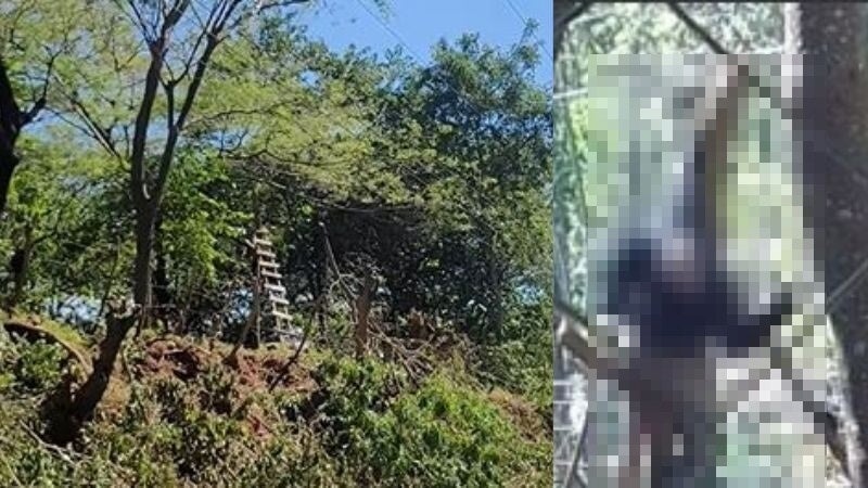 Hondureño muere electrocutado mientras podaba árboles en Choluteca