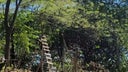 muerto-choluteca-1