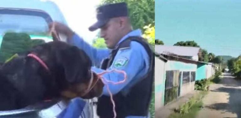 Rottweiler ataca a tres personas en la Rivera Hernández, SPS