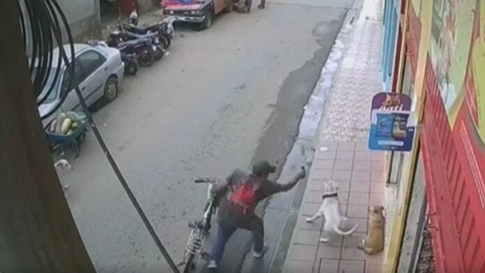 Hombre hiere cuchillo perro Danlí