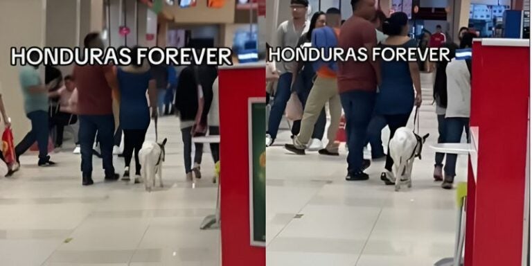 Captan a pareja hondureña paseando a su cabra en un centro comercial