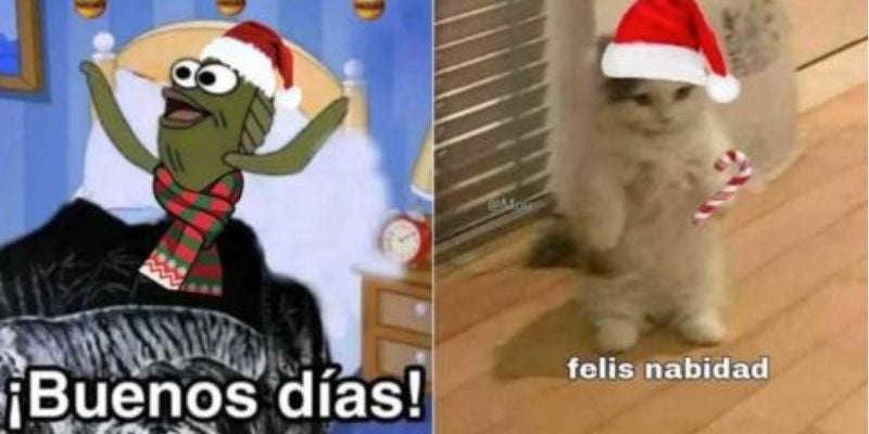 ¡La Navidad llegó! Disfruta los memes más graciosos de diciembre 2024