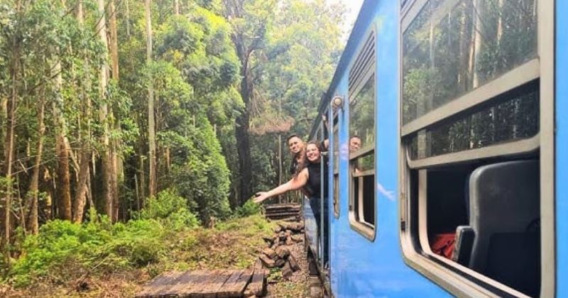 Video: mujer sufre caída de tren por tomarse selfie arriesgada