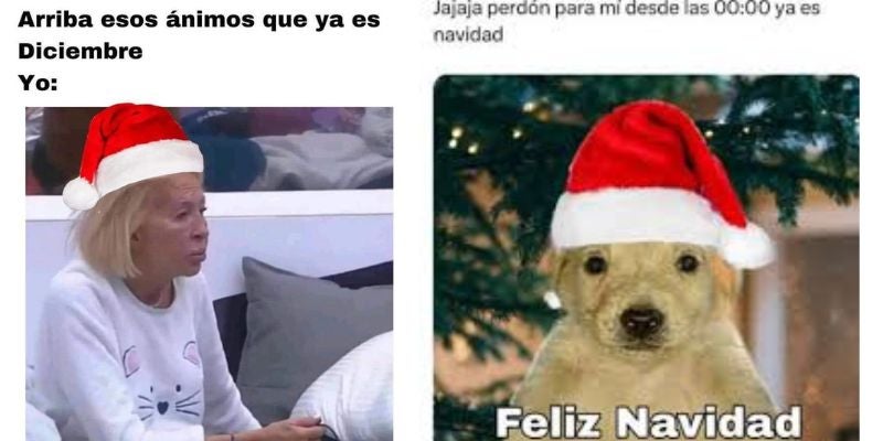 ¡La Navidad llegó! Disfruta los memes más graciosos de diciembre 2024