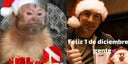 navidad-en-redes-sociales