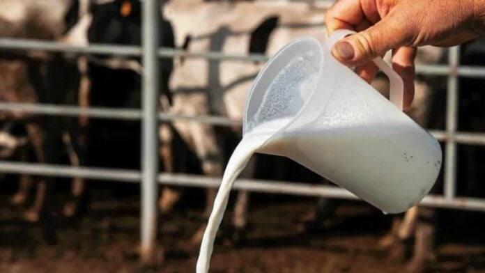 USA ordena analizar muestras de leche para detectar focos de gripe aviar