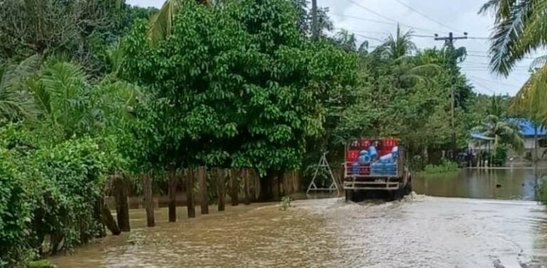 Ex campos bananeros de El Progreso y Baracoa siguen afectados por inundaciones