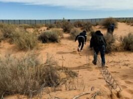 Coyotes en la frontera