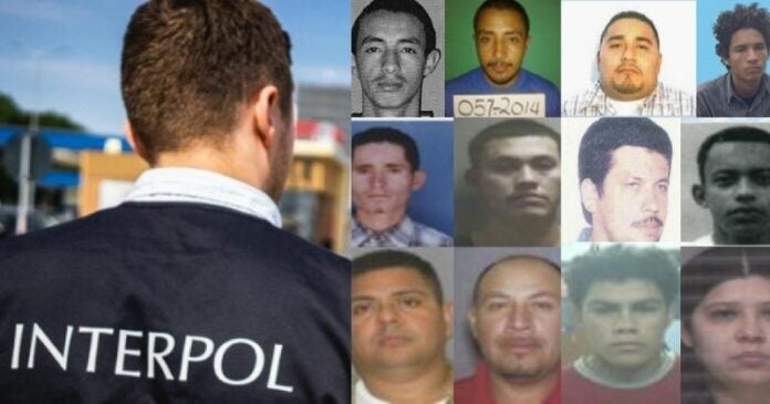 Crímenes globales, 28 hondureños en la lista roja de Interpol.