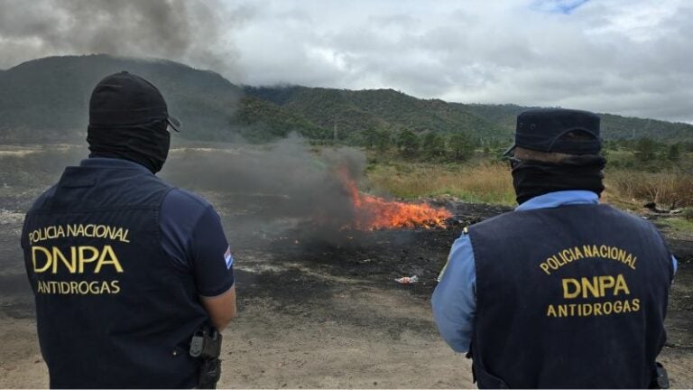 Destruyen 77 kilos cocaína