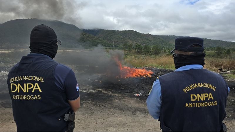 DNPA incineración cocaína