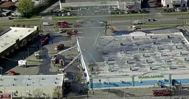 Más de 500 animales mueren en incendio de centro comercial de Dallas