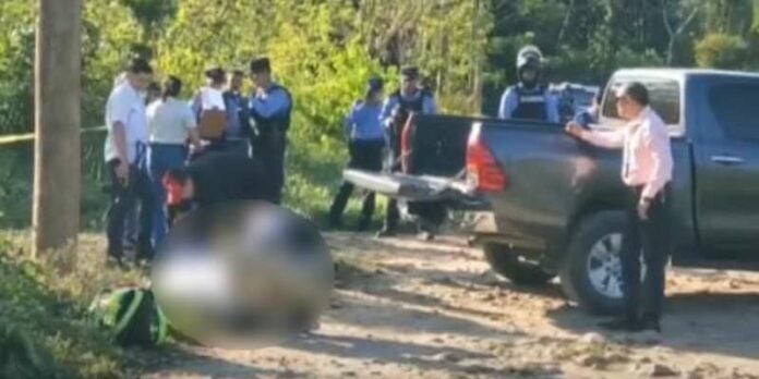 Acribillan a supuesto indigente en finca de piñas de Atlántida