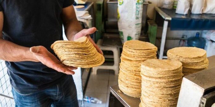 Sube el precio de las tortillas: ¿Qué factores lo están impulsando?