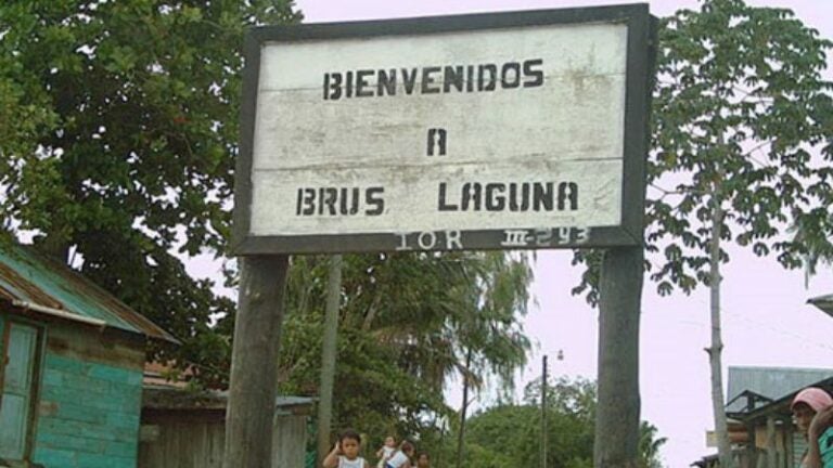 Ordenanza Municipal Bruss Laguna