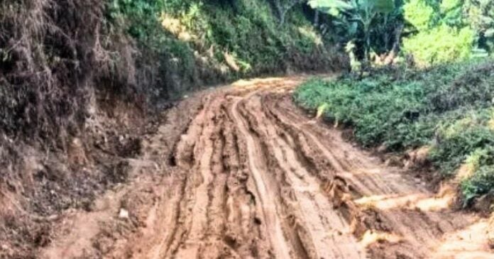 Zonas cafetaleras de Intibucá enfrentan crisis por carreteras intransitables