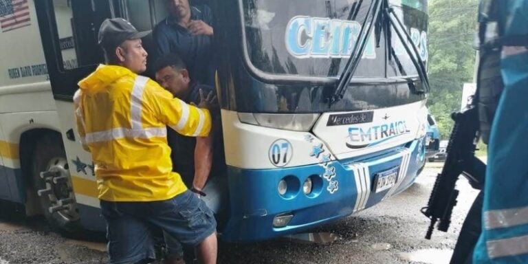 conductor de bus