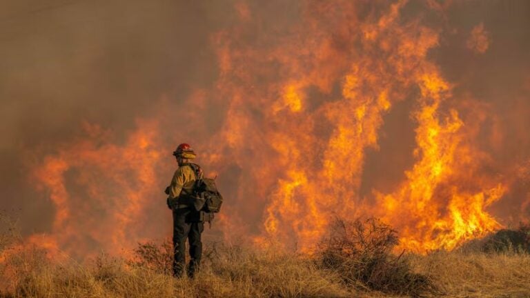 muertos incendio en Los Ángeles