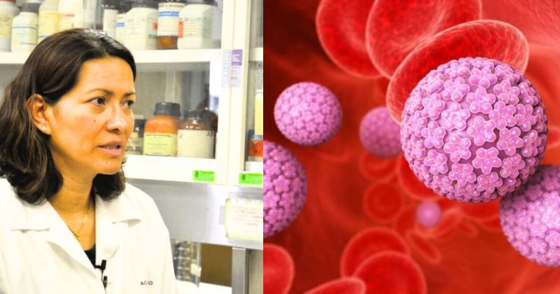 ¡Hallazgo! científica latinoamericana elimina el VPH a 29 mujeres