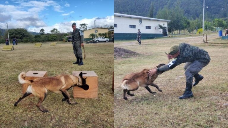 Batallón Canino elecciones primarias