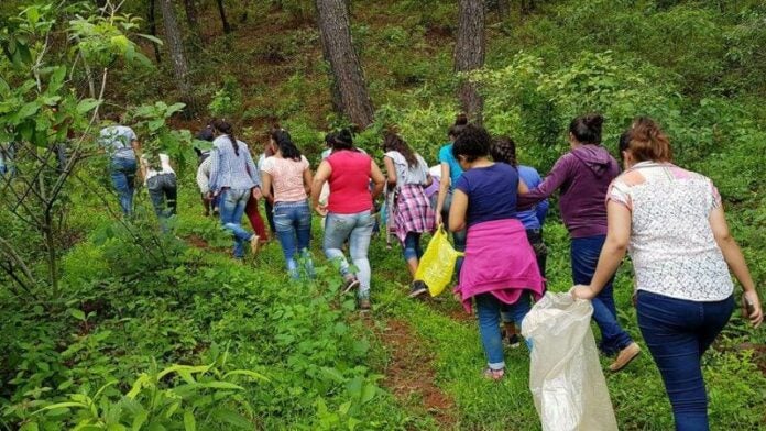 Mujeres de Lempira se unen para prevenir incendios forestales