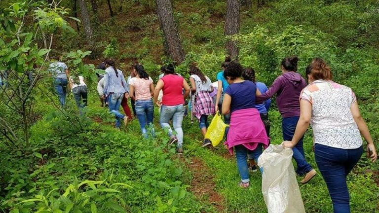 Mujeres de Lempira se unen para prevenir incendios forestales