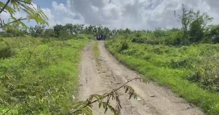 Iban a trabajar y los asesinan para robarles la motocicleta en Puerto Cortés