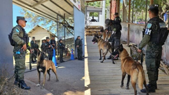 Batallón Canino centros elecciones