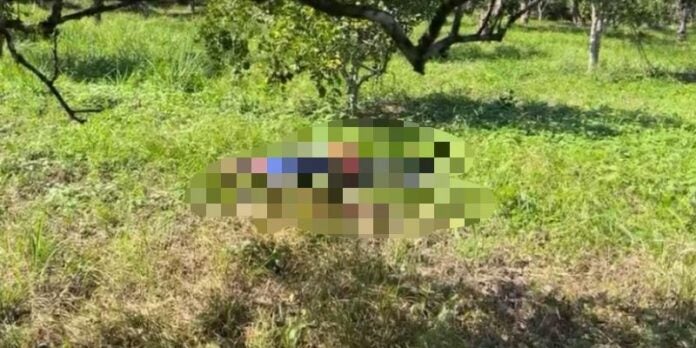 Encuentran sin vida a una persona garífuna dentro de una finca en Colón