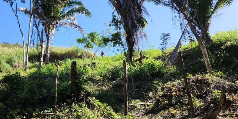 Encuentran sin vida a una persona garífuna dentro de una finca en Colón