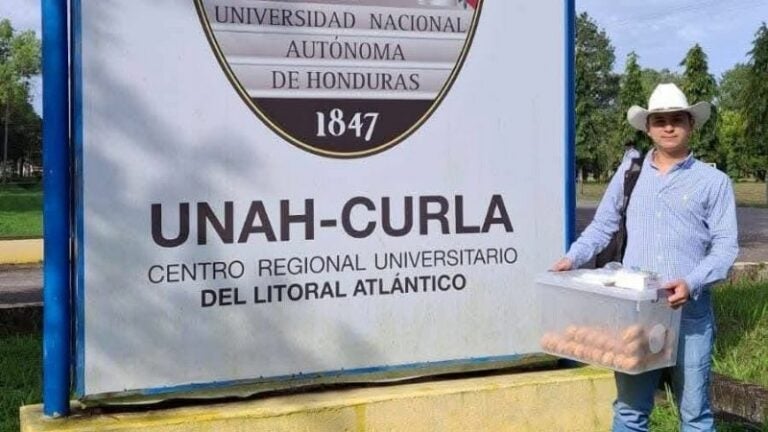 Joven que vende donas para costear sus estudios recibe beca de la UNAH