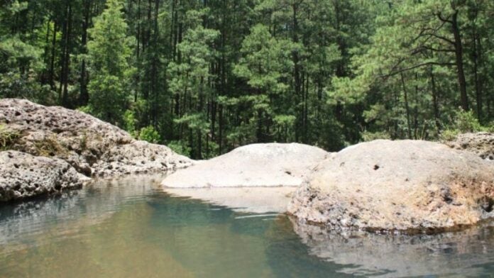 encuentran cadáveres en río Guacerique