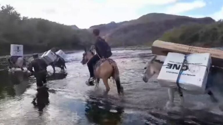 Maletas electorales en caballo.