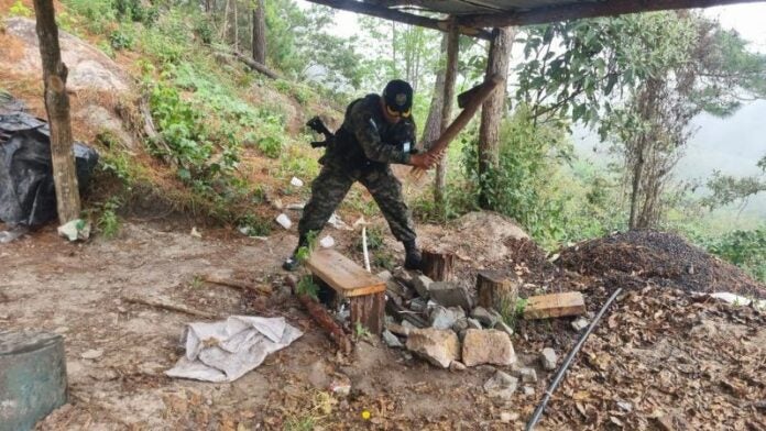 Los caficultores aseguraron que agentes militares son los responsables de la destrucción de las fincas ubicadas en la Montaña Celaque.