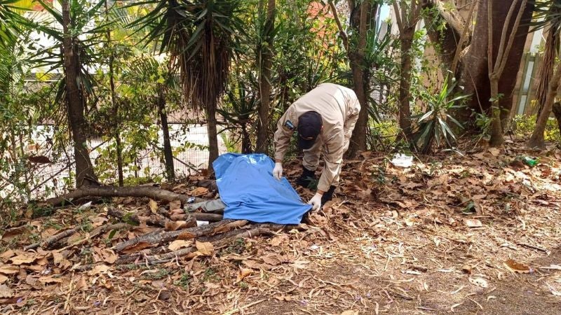 Atropellado en Valle de Ángeles (1)