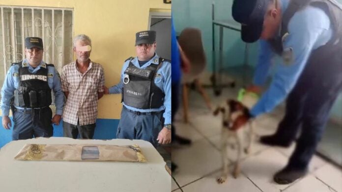 Capturan hombre hirió perrita