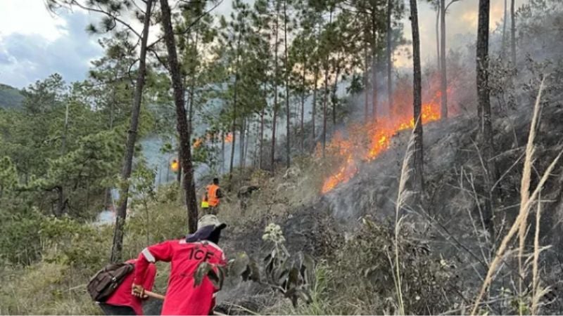 ICF incendios